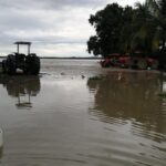 Desbordamientos del Guayuriba afectaron más 15 mil hectáreas de cultivos de arroz