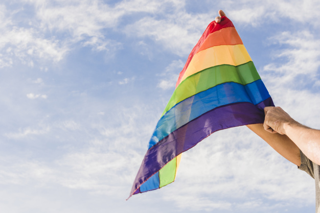  En el Meta se dio inicio a la Semana de la Diversidad LGBT/OSIGD